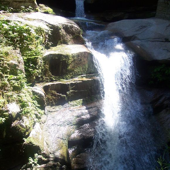 Meet your Posher, Kimberly - Picture 1 of 1